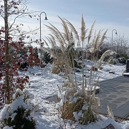 Auszeit Oase Heidi Feriehus Göhren-Lebbin